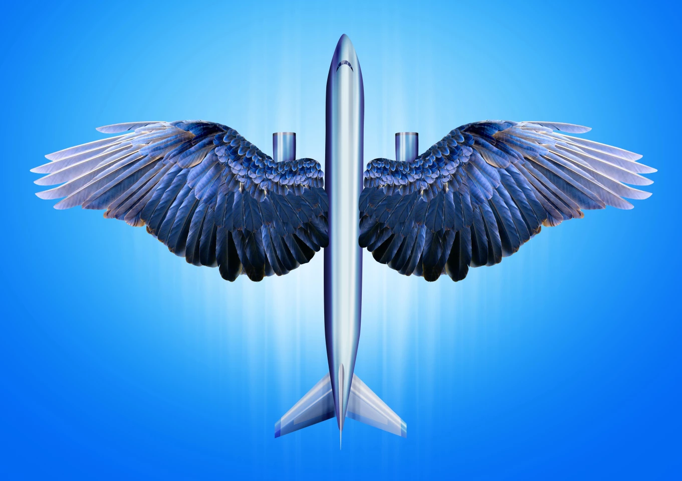 Aviation technology began with avian physiology