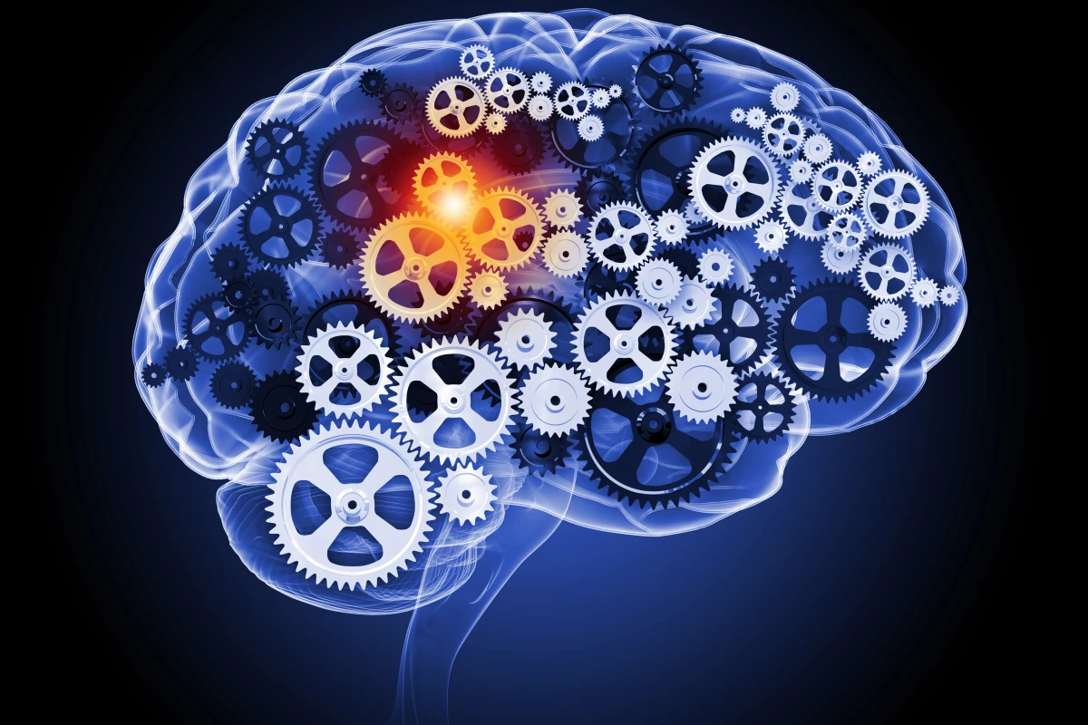 Experts are divided on the efficacy data concerning a novel Alzheimer's drug, but it's now up to the FDA to judge whether a controversial Phase 3 trial is enough for market approval