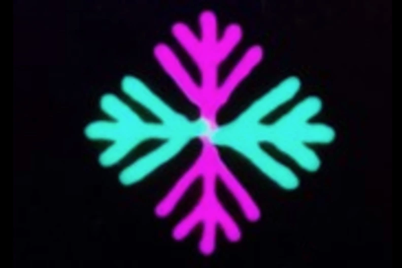 A 3D-bioprinted snowflake, made of the freezable bio-ink