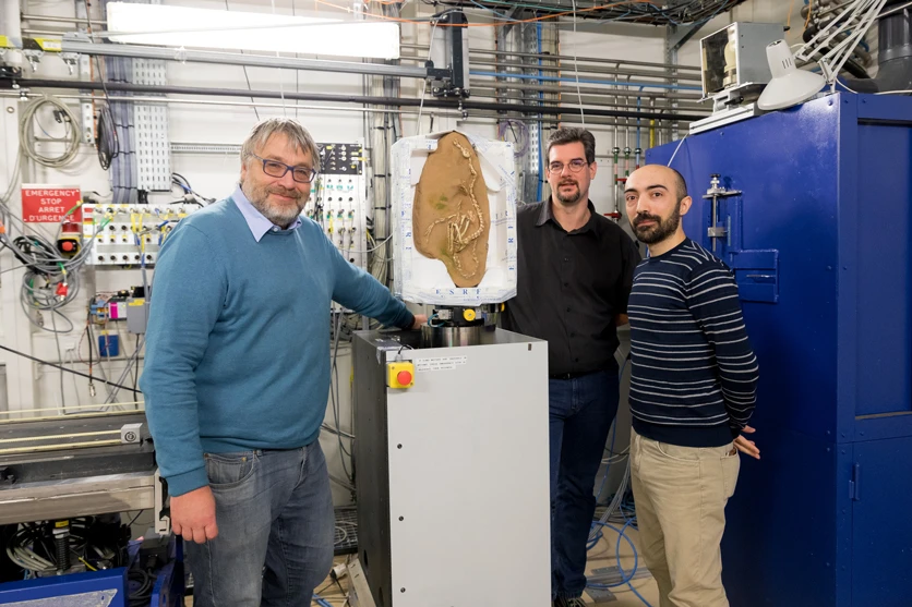 The Halszkaraptor fossil was studied using synchrotron multi-resolution X-ray microtomography to peer inside
