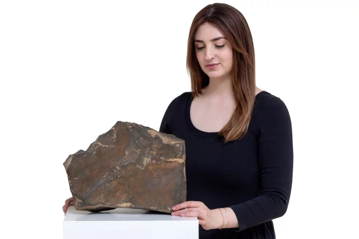 It's just a piece of rock, but it's from another planet, which makes it incredibly valuable. Bidding sits at US$1.92 million (inc BP) with two weeks to go before the hammer falls