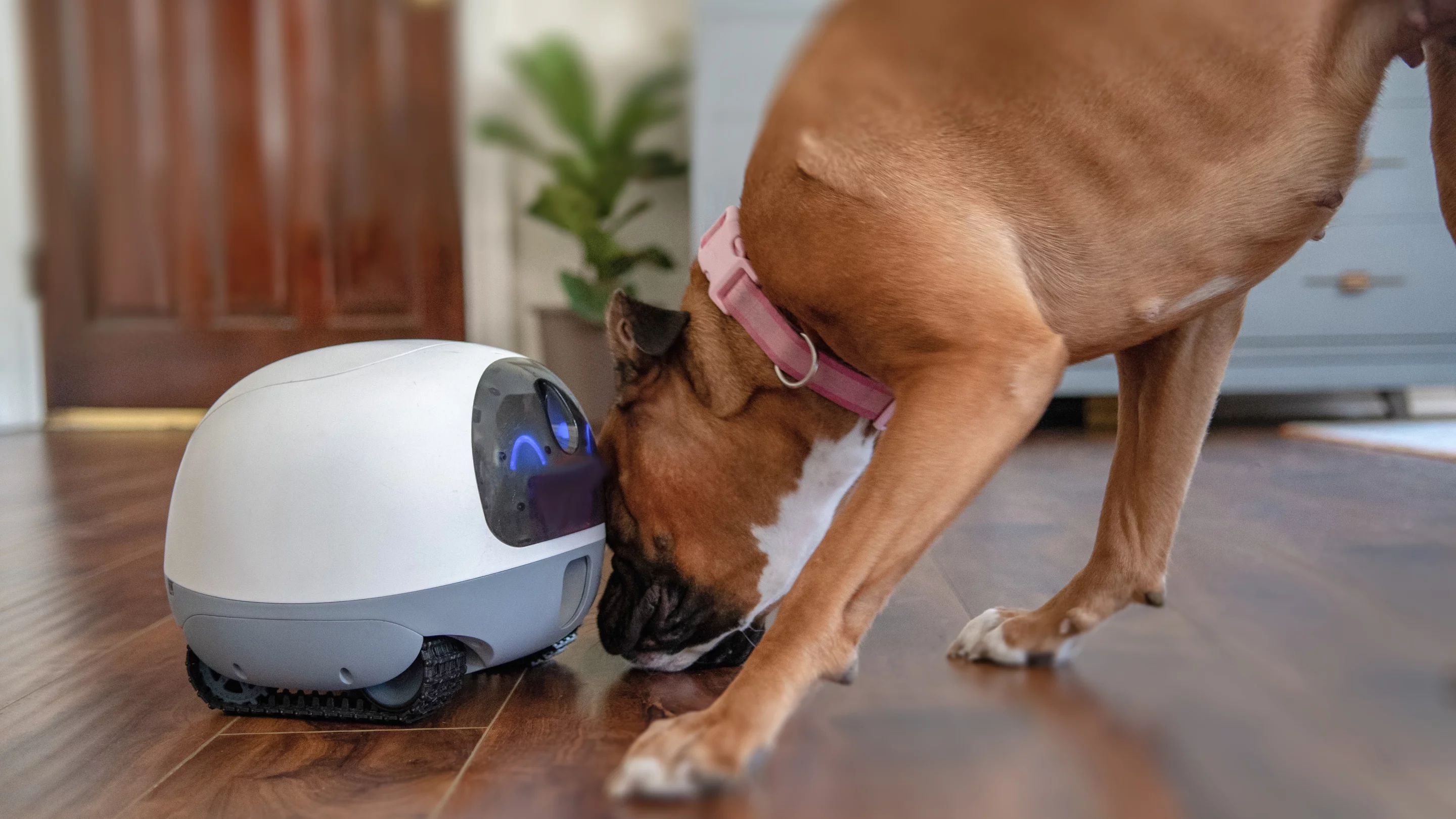 The VAVA Mobile Pet Cam weighs 5.2 lb (2.4 kg)