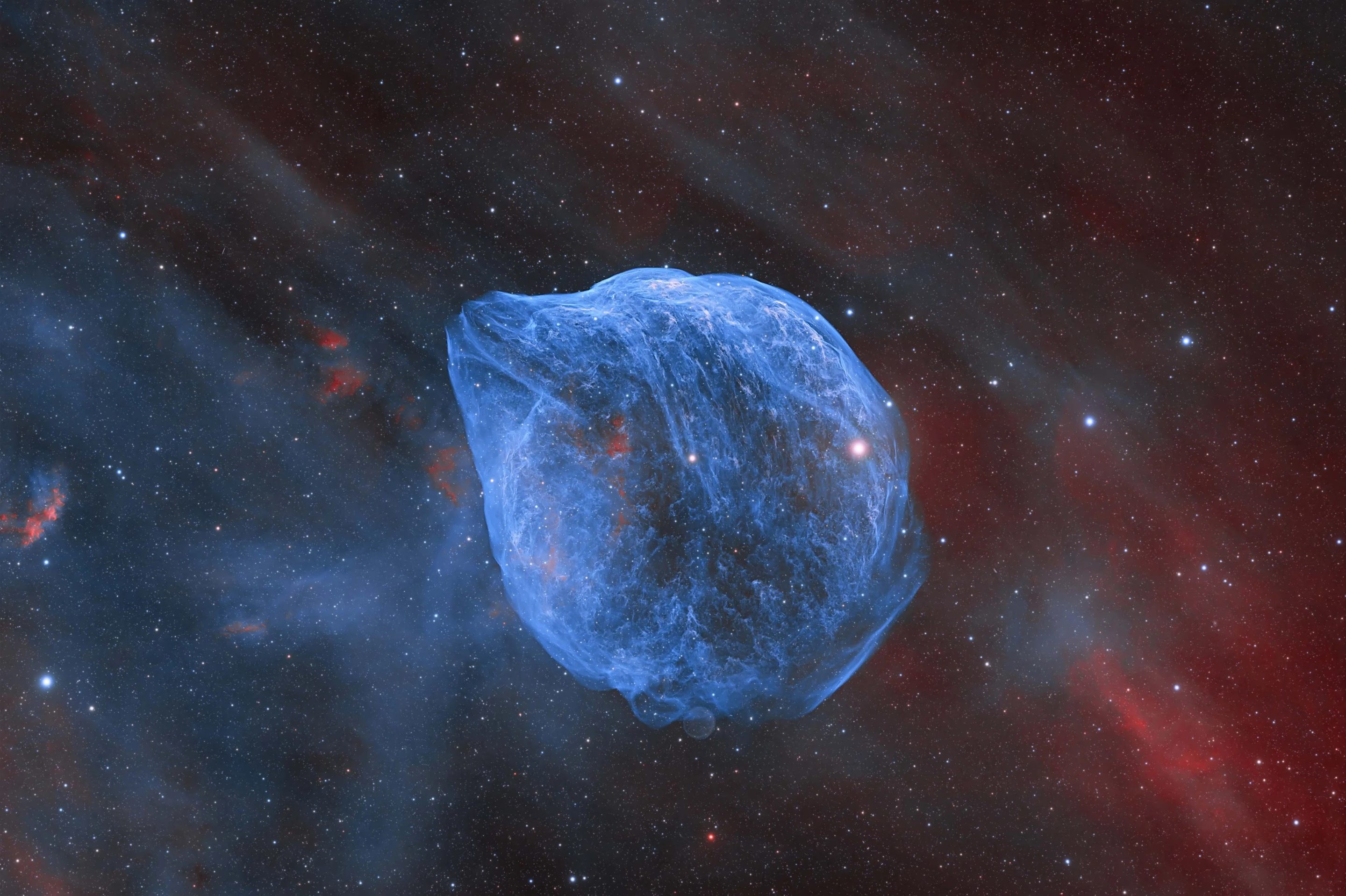 The Sir Patrick Moore Prize for Best Newcomer winner: SH2-308: Dolphin Head Nebula © Xin Feng, Miao Gong (China). This low-angle nebula is tricky to capture, so this image is the result of 10 days shooting