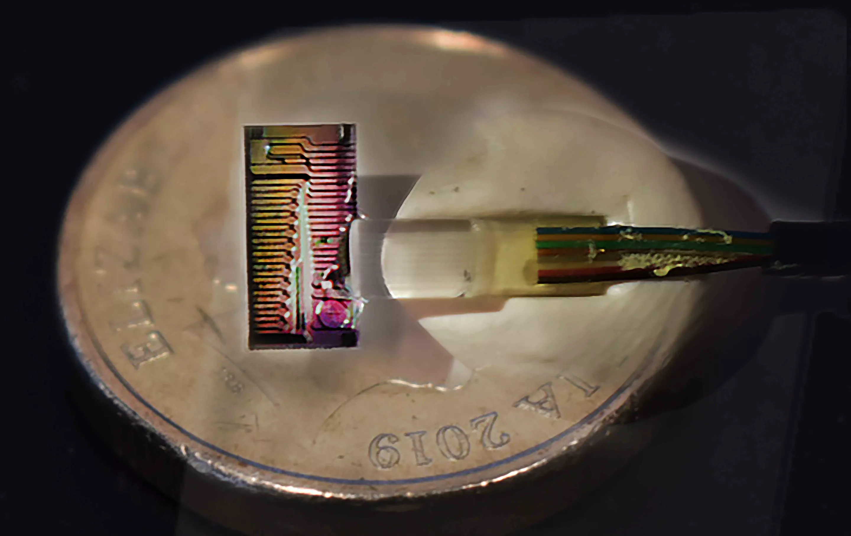 One of the micro-comb photonic chips, which allowed internet speeds of up to 44.2 Tb/s