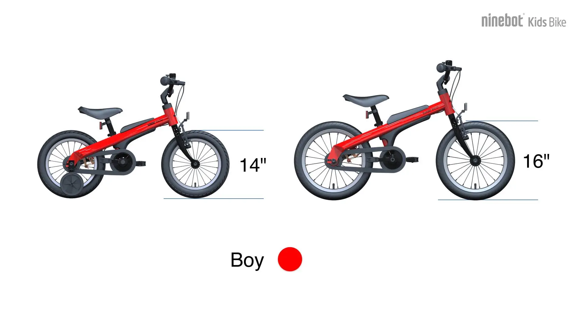 Ninebot Kids Bike for boys
