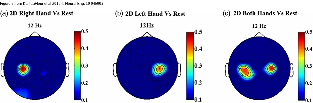 Map of the brain as the subject imagines making one fist, then the other, then both