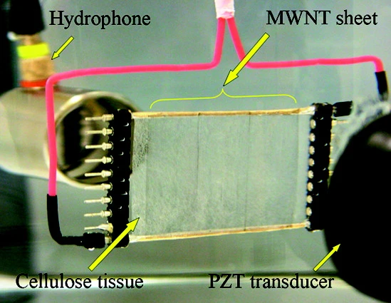 One of the sound-generating carbon nanotube sheets