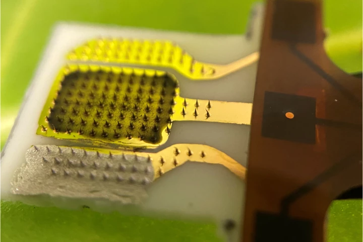 A close-up view of one end of the sensor – in real-world use, the microneedles would be facing down into the leaf