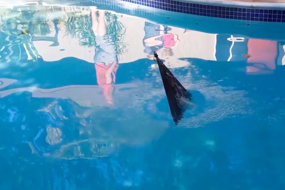 The Flying Fish, transitioning from underwater to aerial flight