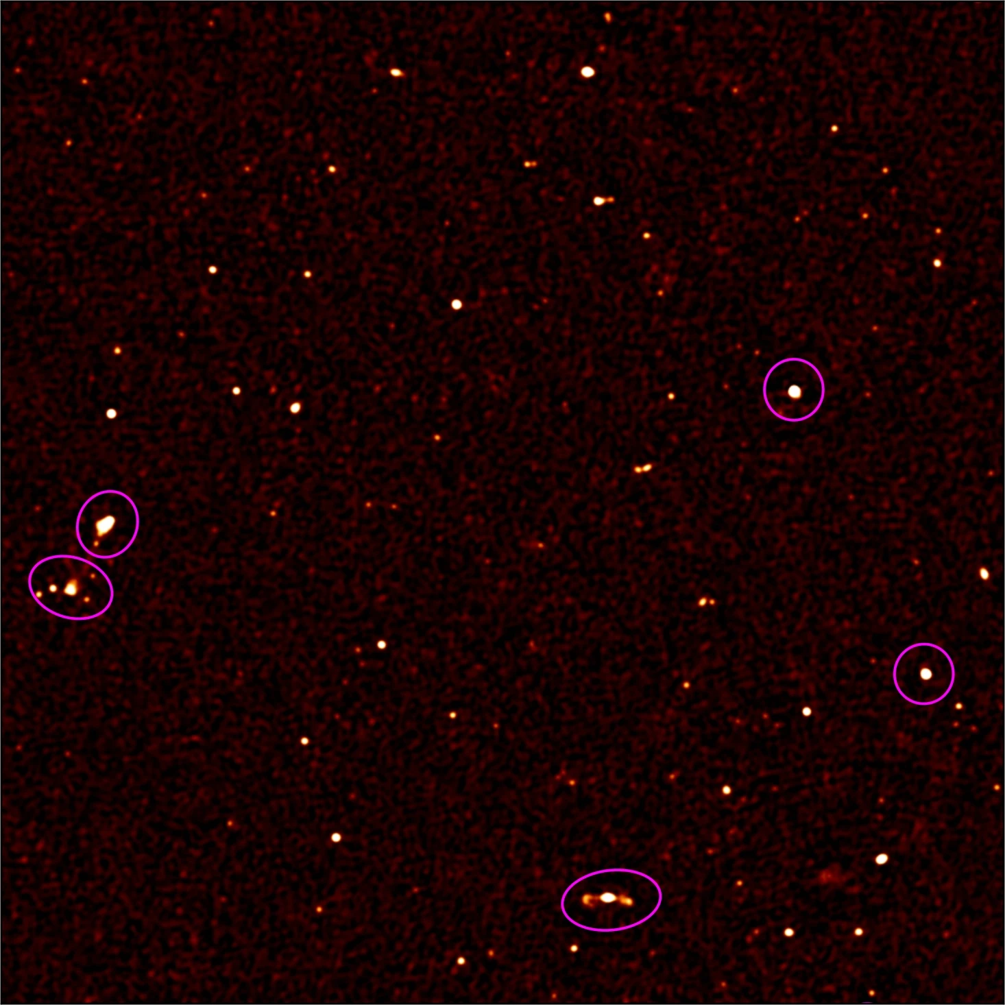In this zoomed-in section of the image, the circled objects represent those which were known about prior to MeerKAT – the rest are new