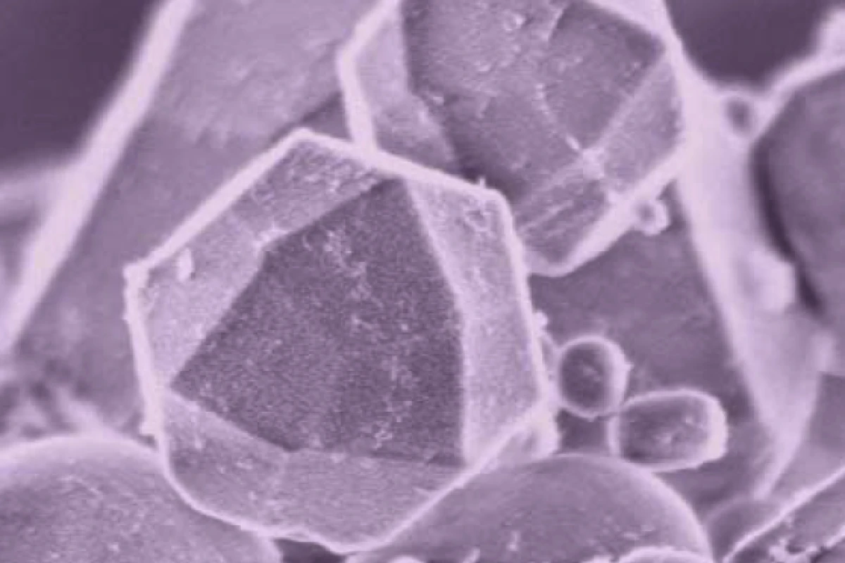 A team of scientists has shown that carbon nanotubes can be broken down by an enzyme found in white blood cells