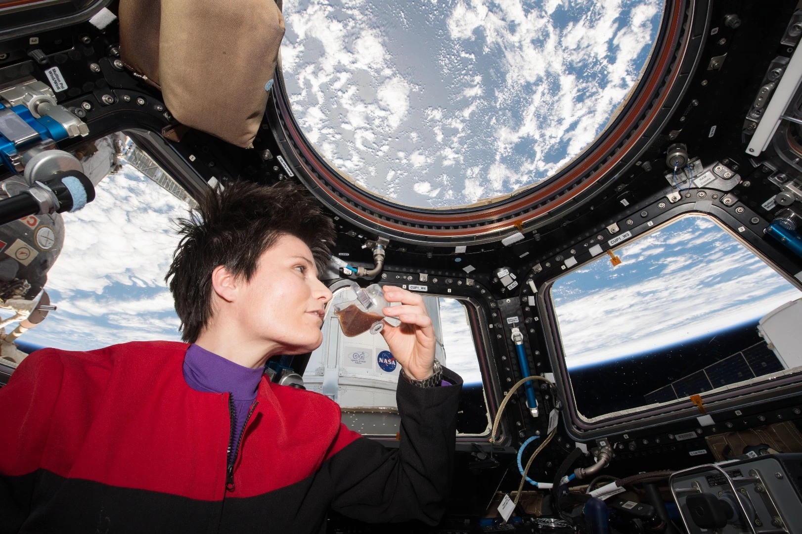Space Cup won the Product category. Designed and developed following experiments conducted aboard the International Space Station, the Space Cup uses surface tension, fluid wetting properties, and a unique shape to drive liquid toward the astronaut’s mouth. It was designed by Portland State University and NASA's Mark Weislogel, Andrew Wollman, John Graf, Donald Pettit, and Ryan Jenson