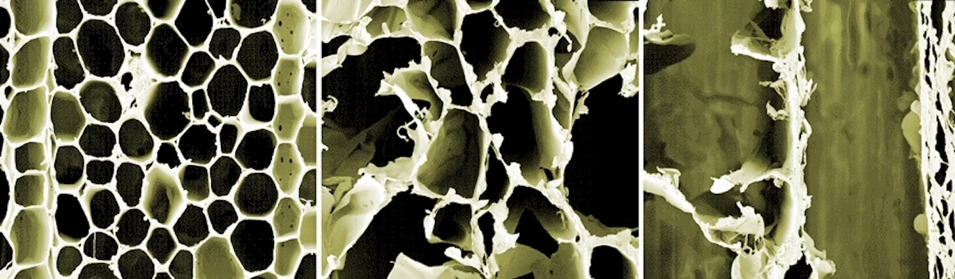 Scanning electron microscope images of balsa wood before treatment (left) and after the lignin has been dissolved out of it (middle and right)