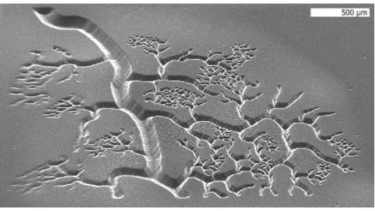 Printing blood vessels: the future? (Photo: Biomedical Nanotechnology Laboratory, Chen Research Group, UC San Diego Jacobs School of Engineering)