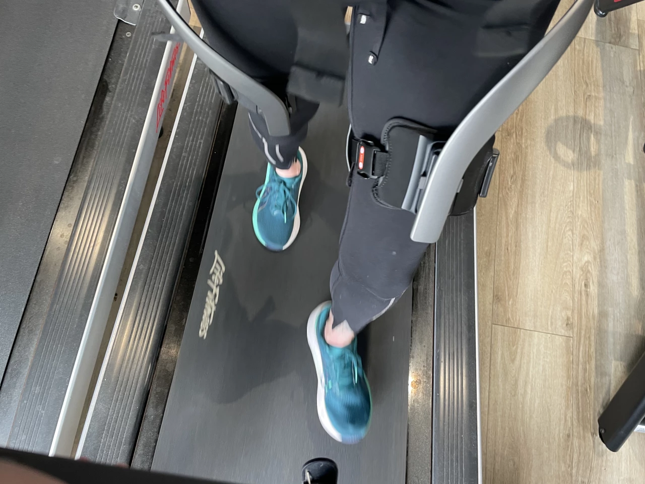 Going for a trot on the treadmill – which took some getting used to