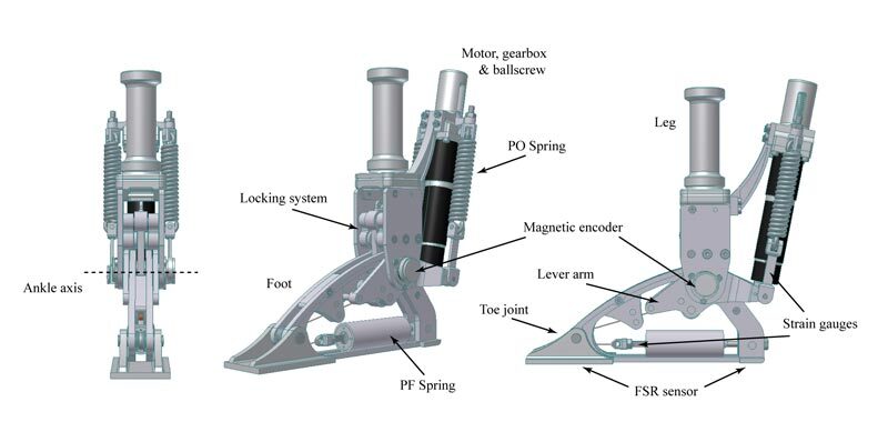 CAD rendering of the AMP-Foot 2.0