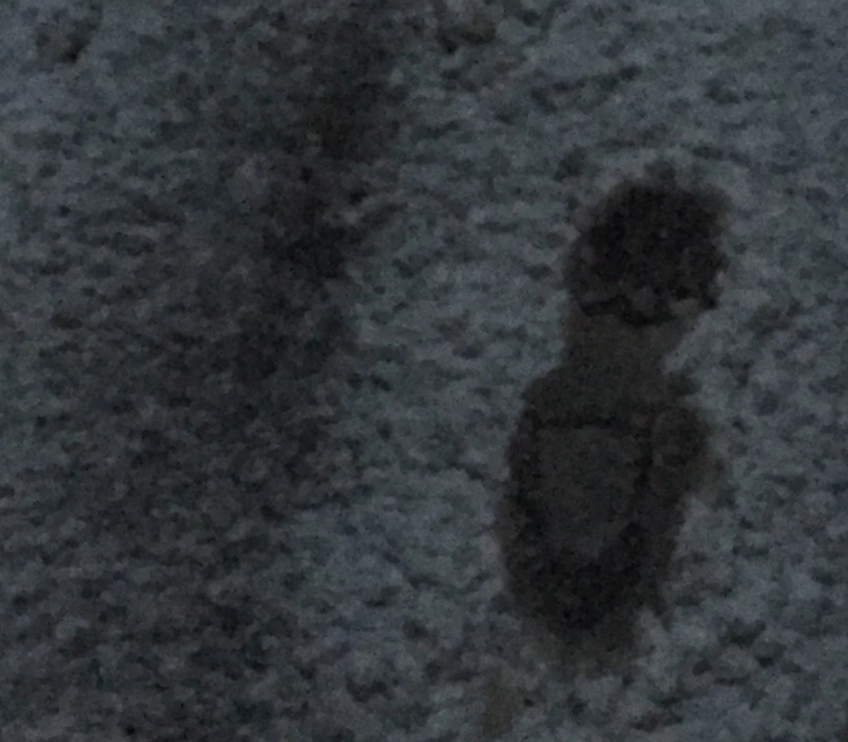 Gizmag tested the ICETrekker Diamond Grip shoe chains in a number of testing conditions, including slush, mud, fresh snow