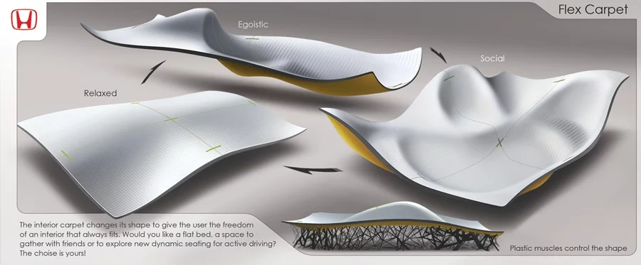 The interior carpet changes shape