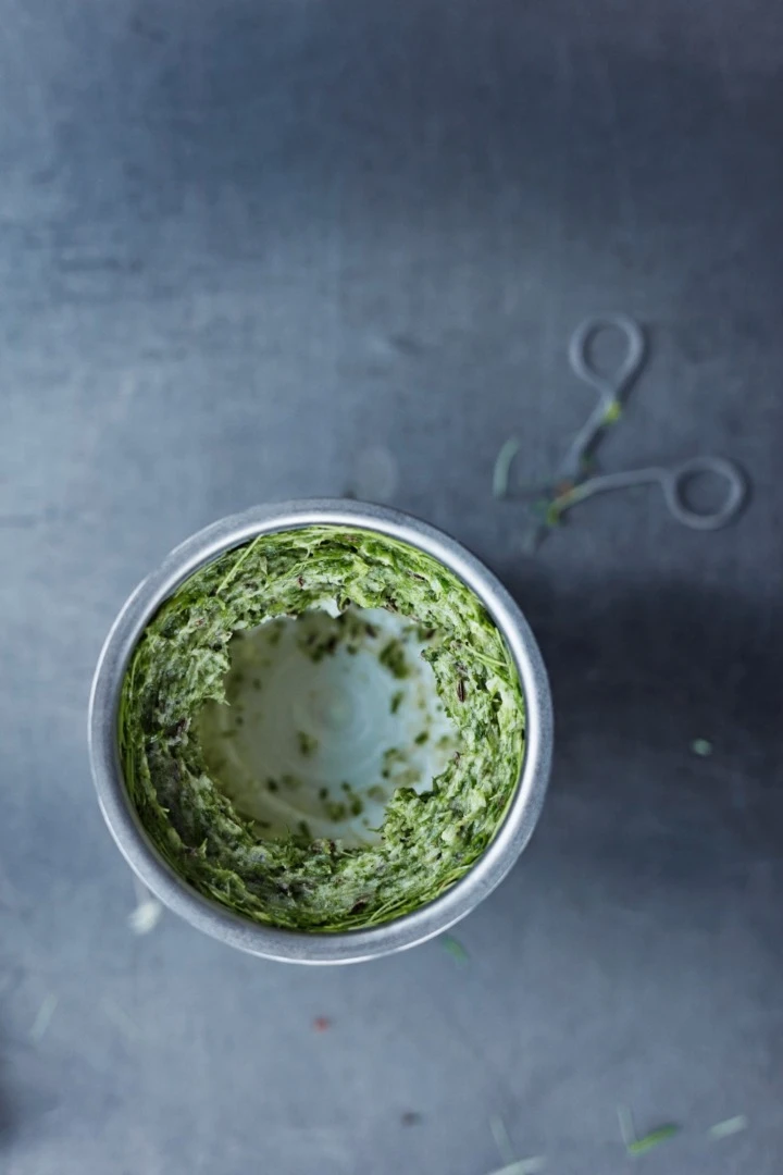 Blending micro greens in popsicles