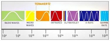 The terahertz band exists between micro waves and infrared on the spectrum