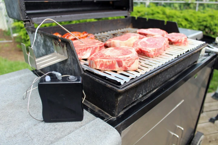 The BBiQ will have up to three metal probes for temperature monitoring