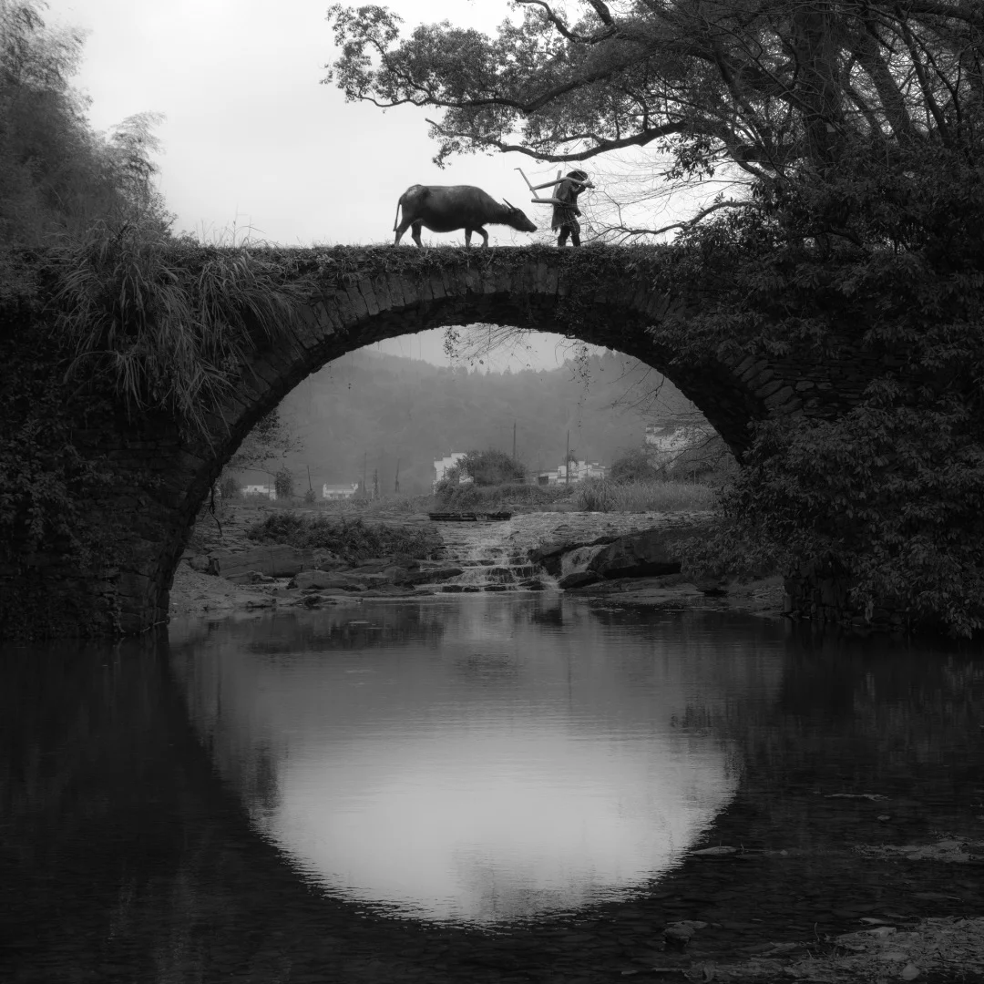 Photo taken in Wuyuan ,Jiangxi province