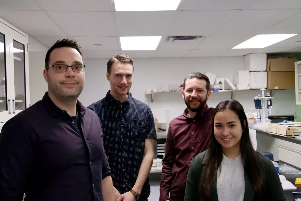Bryan Cassone (from left to right), Harald Grove, Christophe LeMoine and Sachi Villanueva are members of a research team at Brandon Univeristy investigating how waxworms are able to survive on a diet of plastic