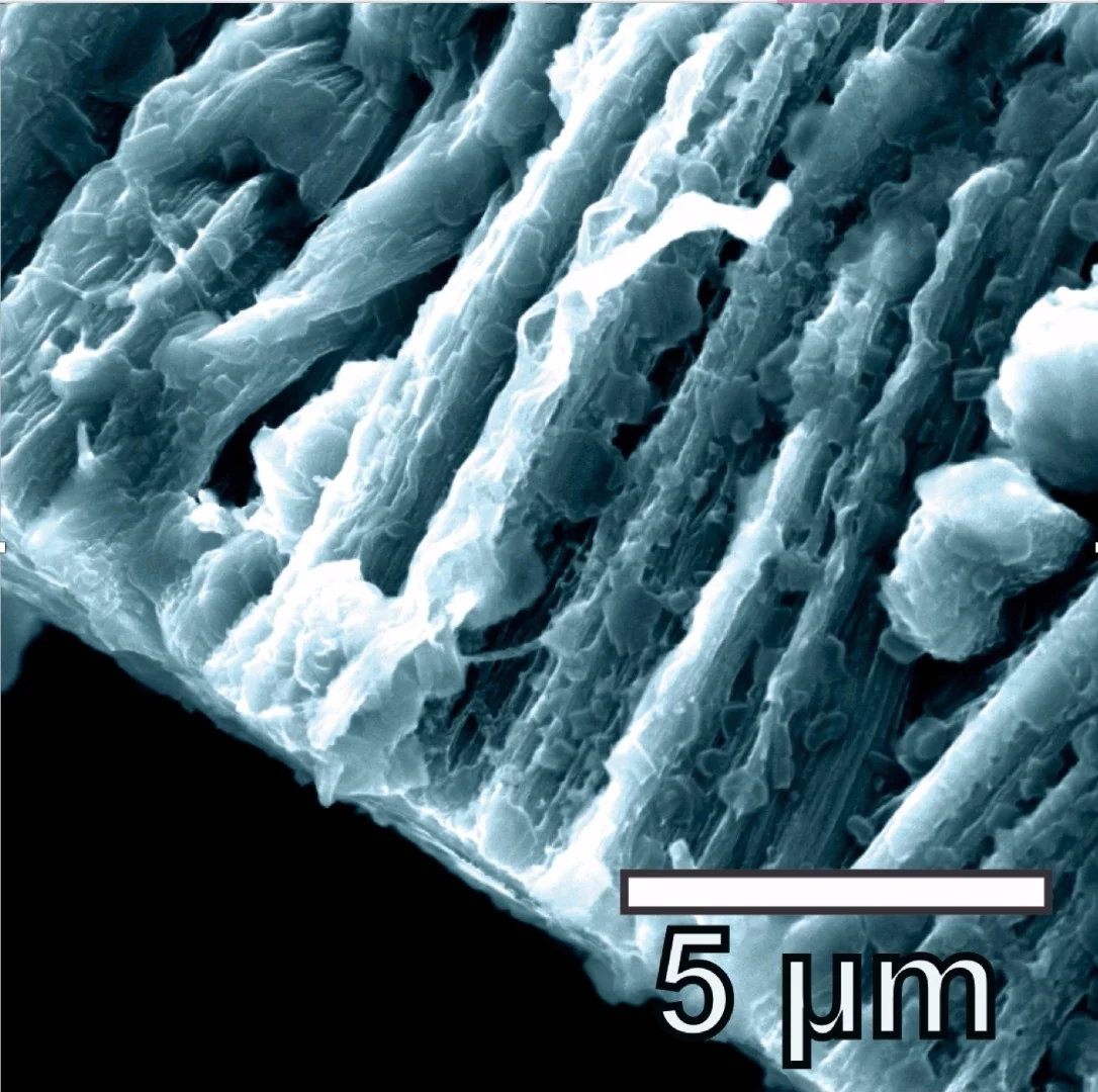 Close-up of the lithium metal coating the graphene-nanotube anode