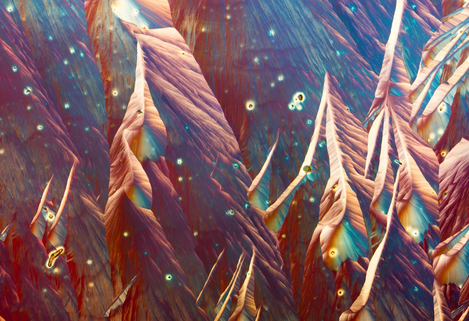 L-Glutamine and Beta alanine