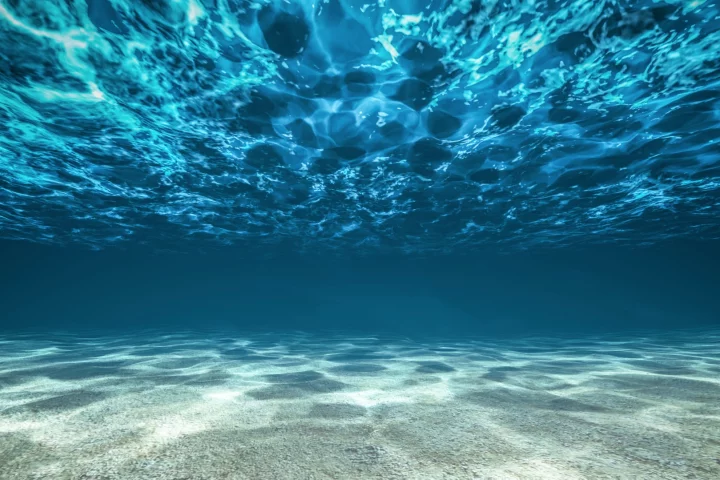 Warmer oceans can spell trouble for the organisms that call them home