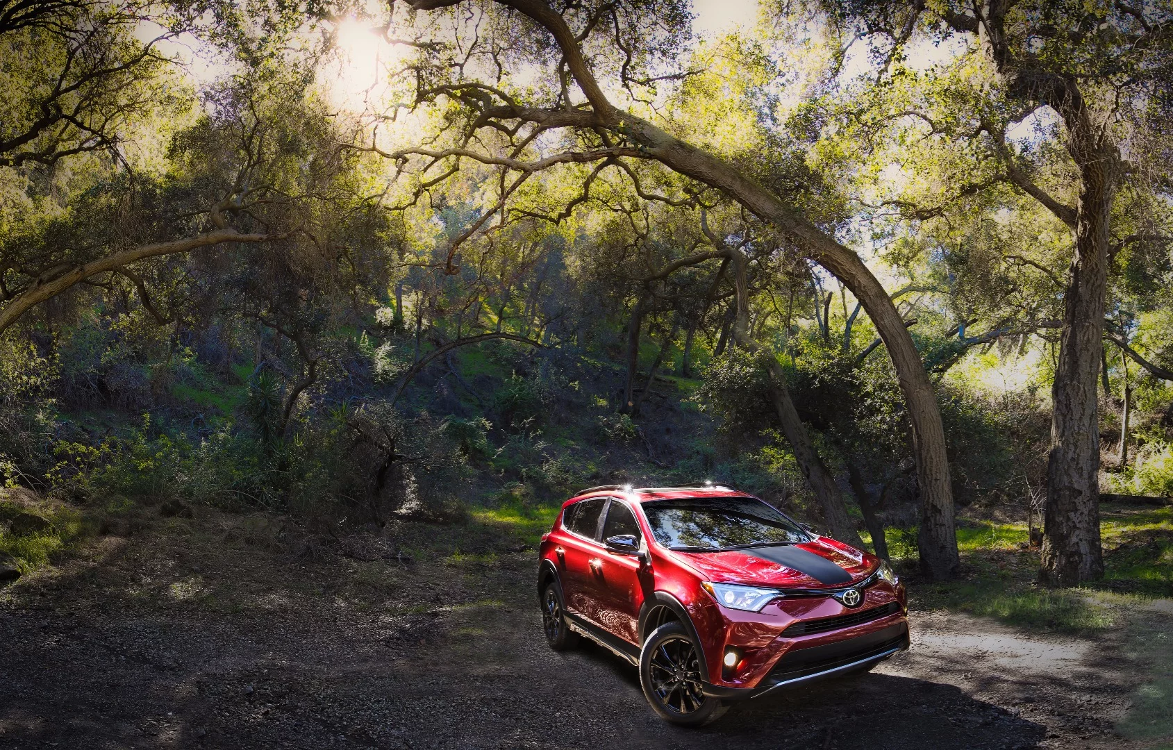 The Adventure looks a little more comfortable in woodsy surroundings than the typical RAV4