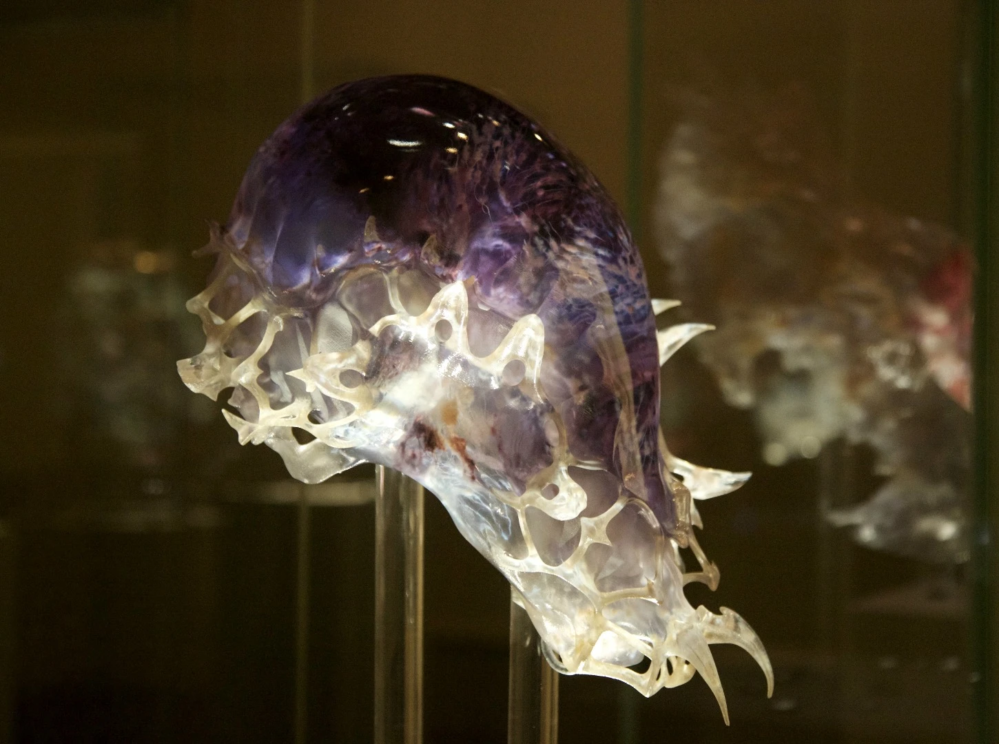 Neri Oxman's otherworldly 3D-printed death masks