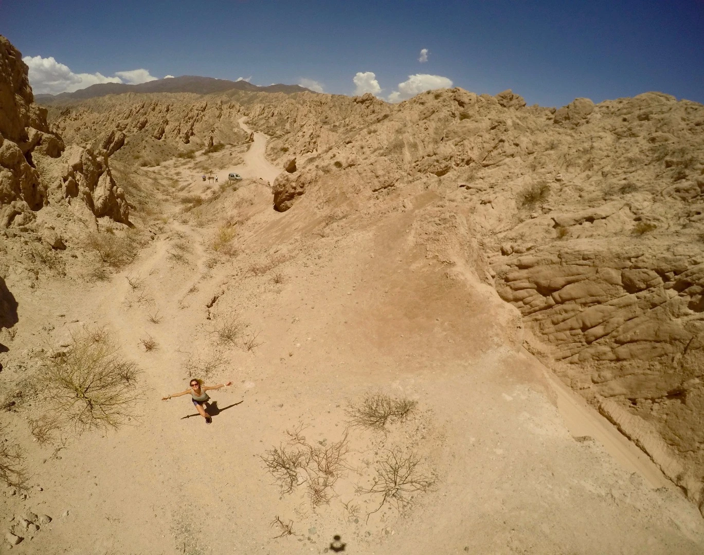 Users don't necessarily need to reach extreme heights in order for Birdie to work effectively
