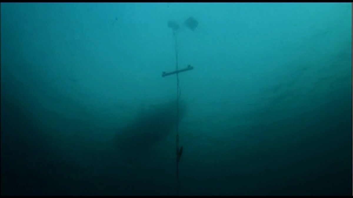 Kempster and his team fixed the Shark Shield to a rig in the waters off South Africa and attracted sharks by attaching a bait-loaded canister