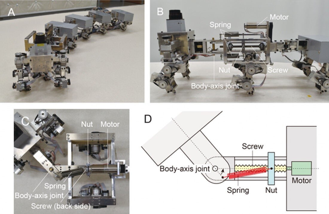 A. The myriapod robot. B. Front view. C. Top view. D. Schematics of top view