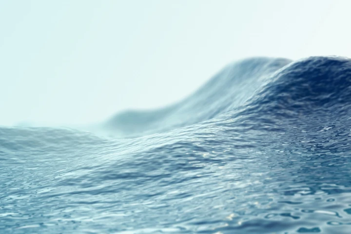 The World Meteorological Organization has detected a record-breaking wave of 19 m (62.3 ft)