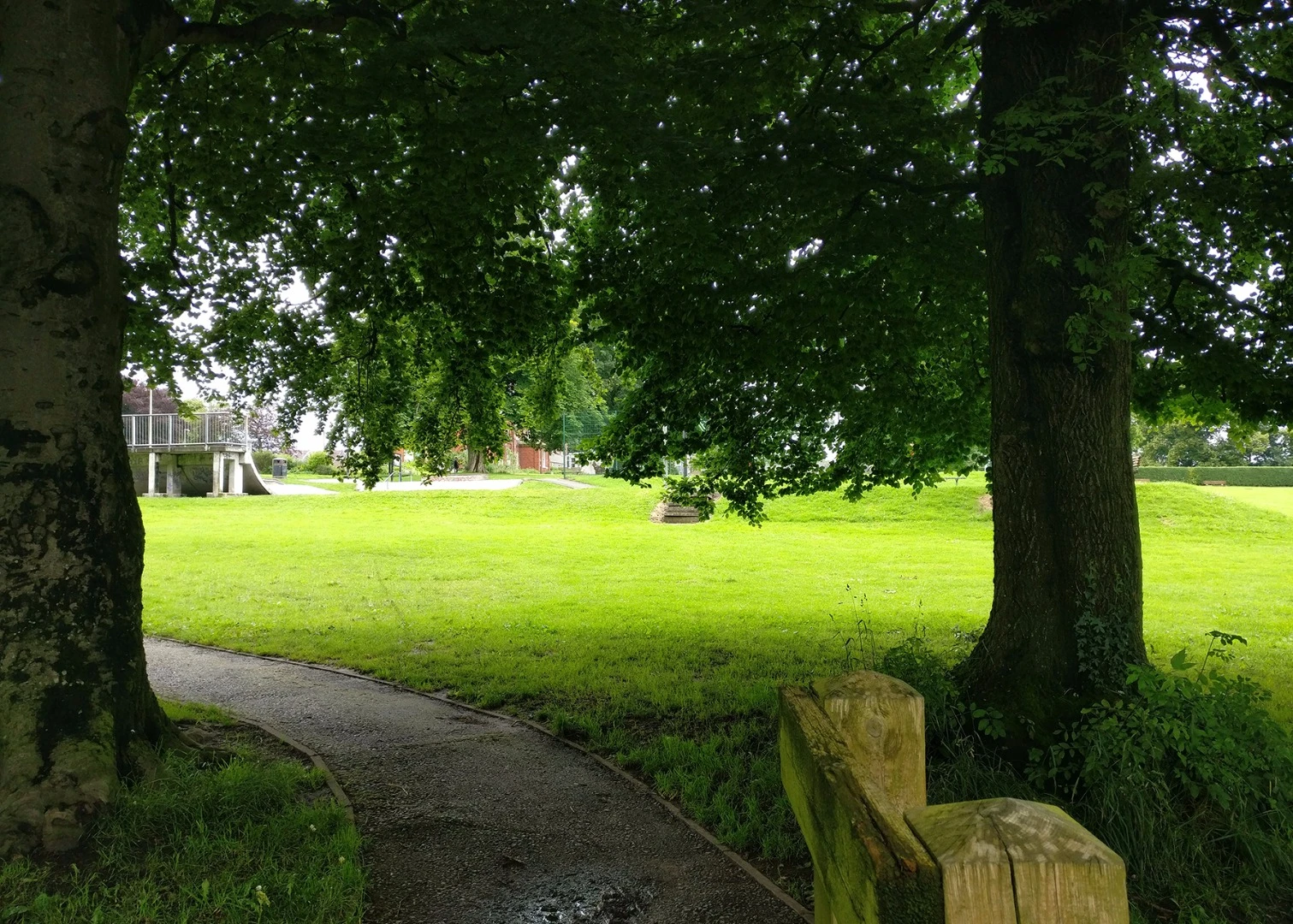 The camera's auto HDR feature does well at balancing lighter and darker areas in the same shot