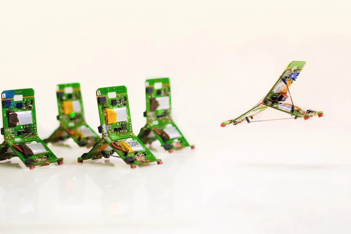 The Tribots can be assigned specific roles similar to ants