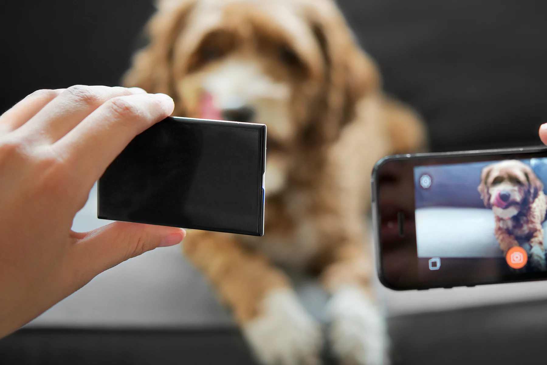 It can also be moved around to provide more flattering or artistic lighting than would be possible with a flash that's permanently located beside the camera lens