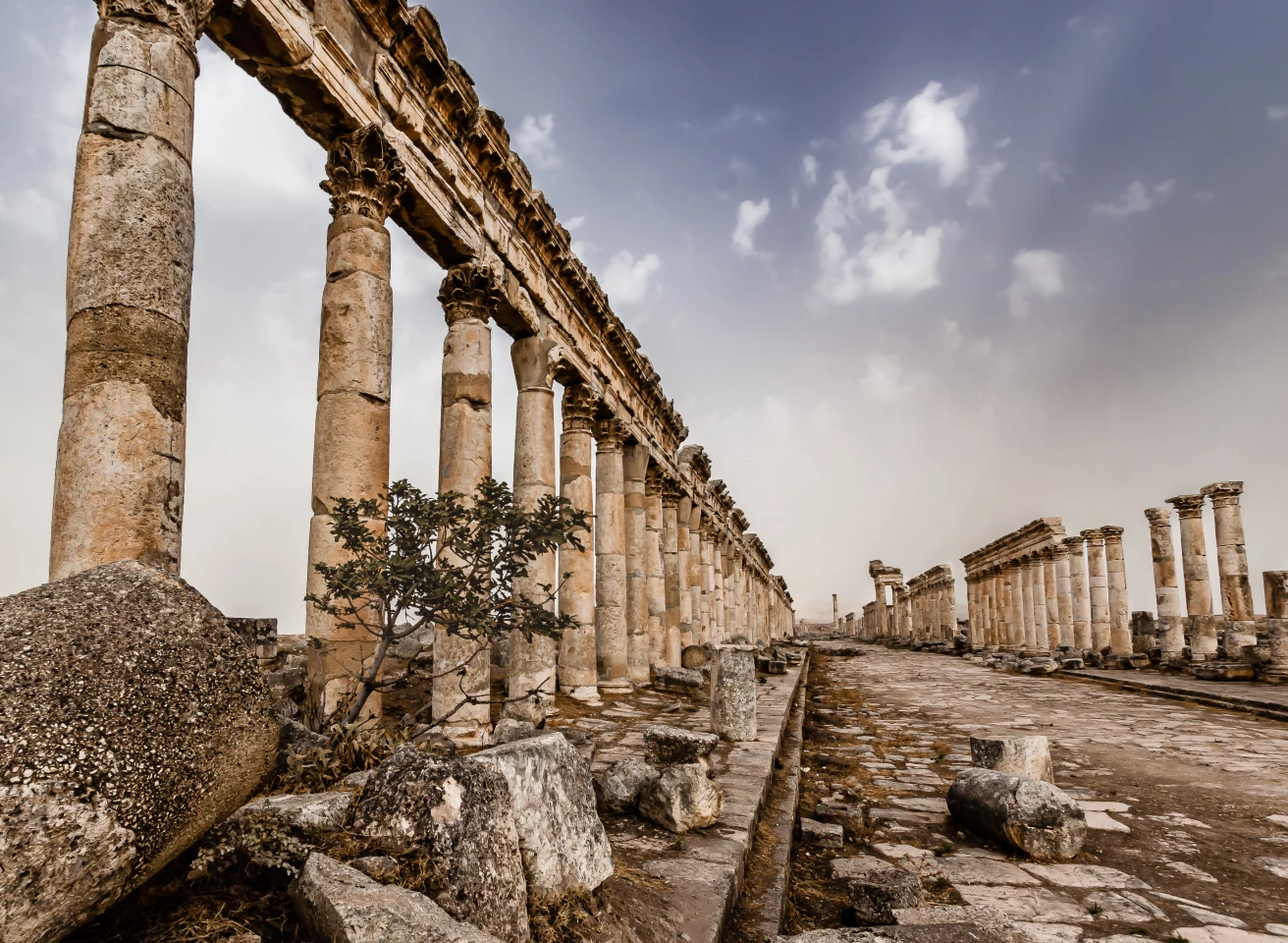 Winner, Where History Happened. Palmyra, Syria