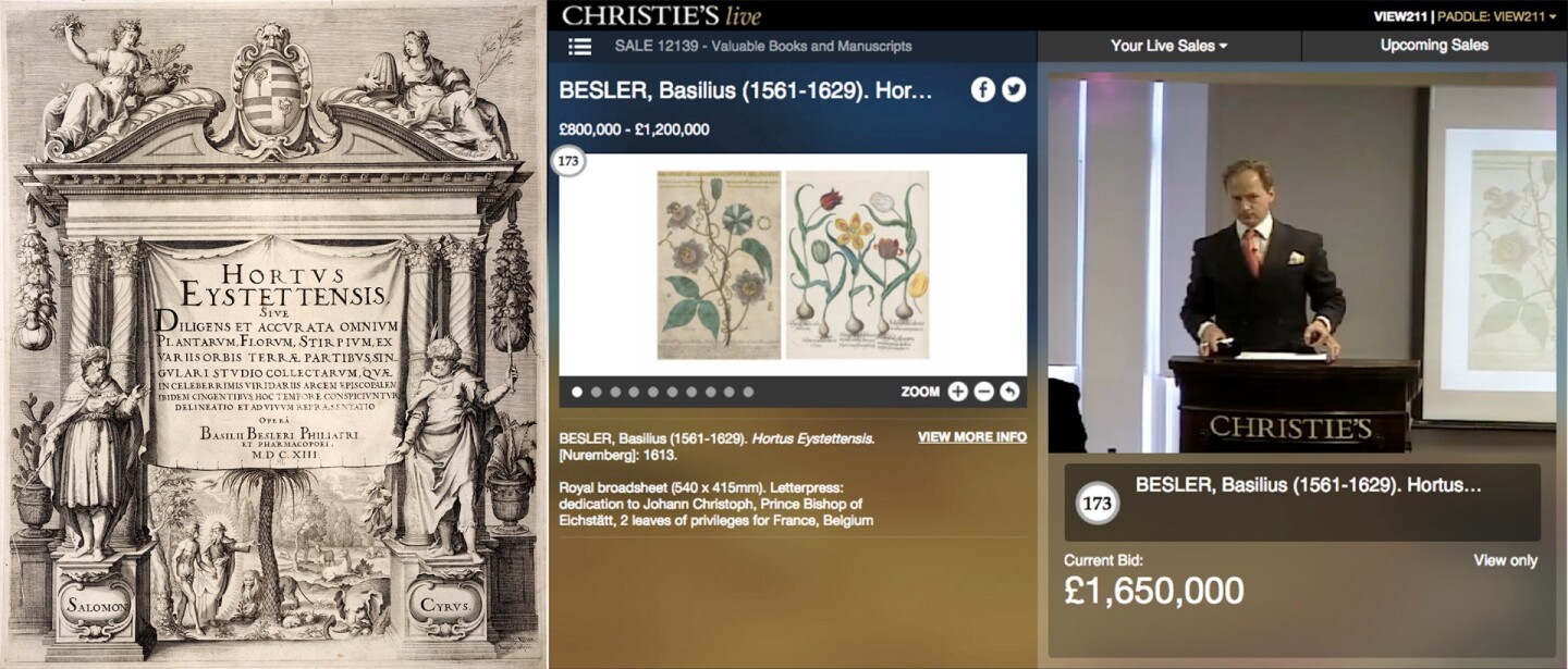 One of just 15 complete copies of the "most famous flower book in the world", this copy of the 400 year-old Hortus Eystettensis (Garden of Eichstätt) by Basilius Besler attracted considerable interest from around the globe in 2016 when it went to auction in London, selling for $2,550,247 (£1,930,500) at Christies London on July 13, 2016