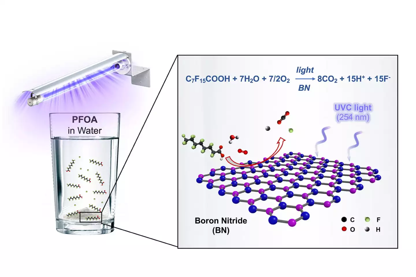 Diagram depicting the process by which a boron nitride catalyst destroys PFOA in a water sample