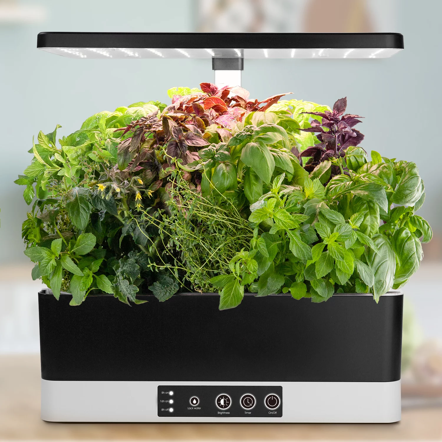 The SproutHub can accommodate a number of different plants at the same time, each growing in a nutrient-packed pod sat under an overhead LED lamp