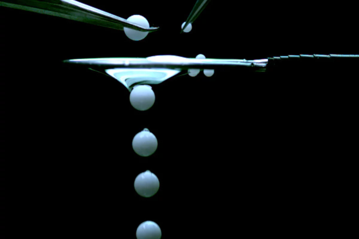 Large particles pass through reverse liquid filter while smaller particles remain behind