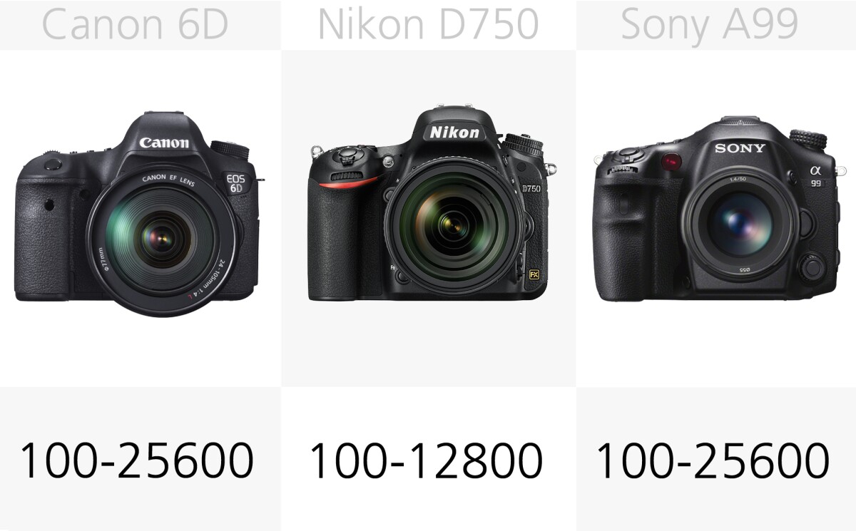 The large full frame CMOS sensors of these cameras mean they should all perform well in a variety of lighting conditions