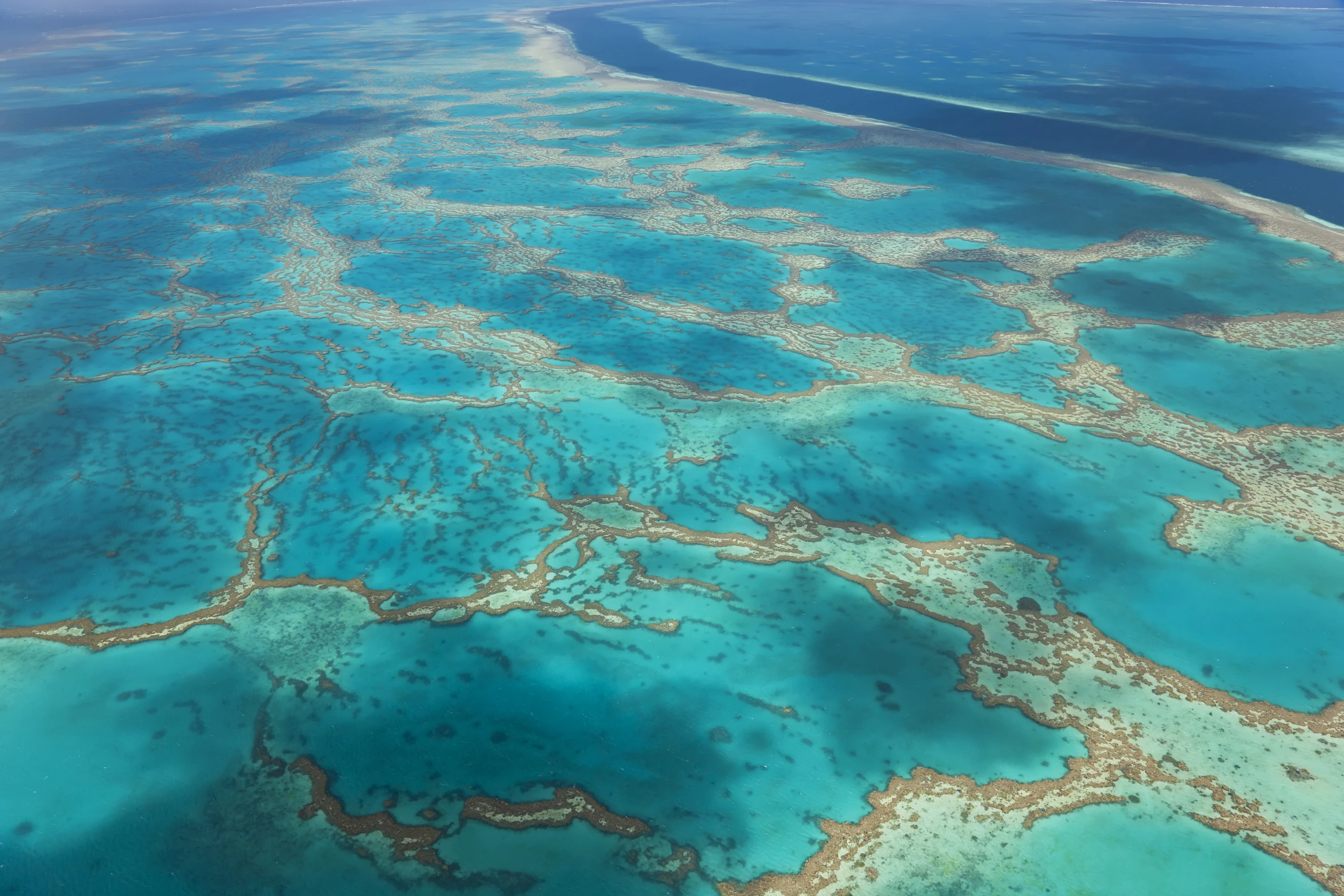 Australia's Great Barrier Reef is in a bit of trouble