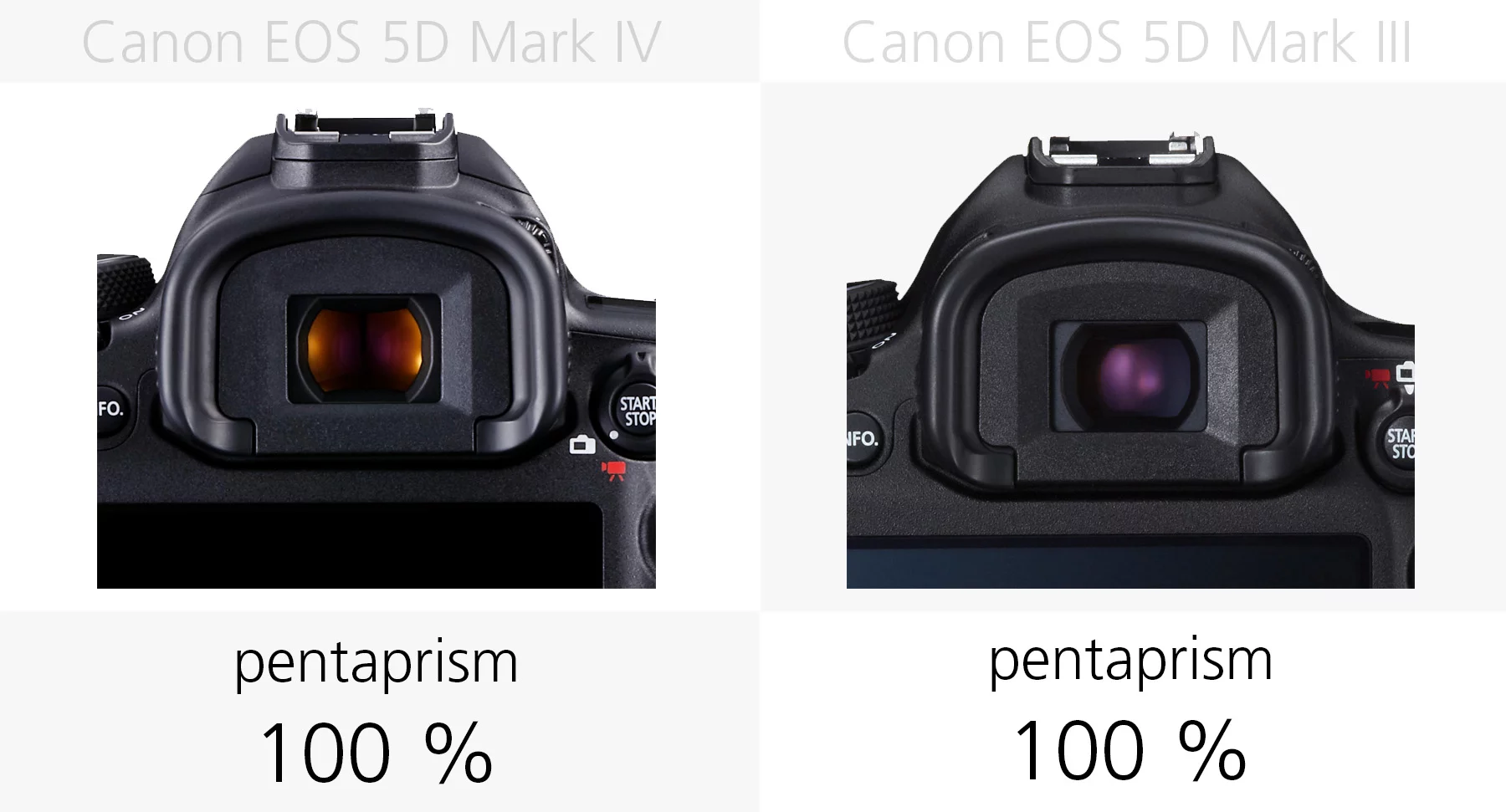 Viewfinder (Canon EOS 5D Mark IV and 5D Mark III)