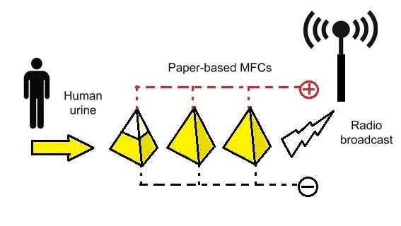 Researchers at the University of the West of England claim to have built a paper-based, urine-fueled emergency radio beacon device