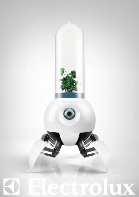 Le Petit Prince looks after growing vegetation by trotting about on the surface of Mars looking for the best conditions for growth