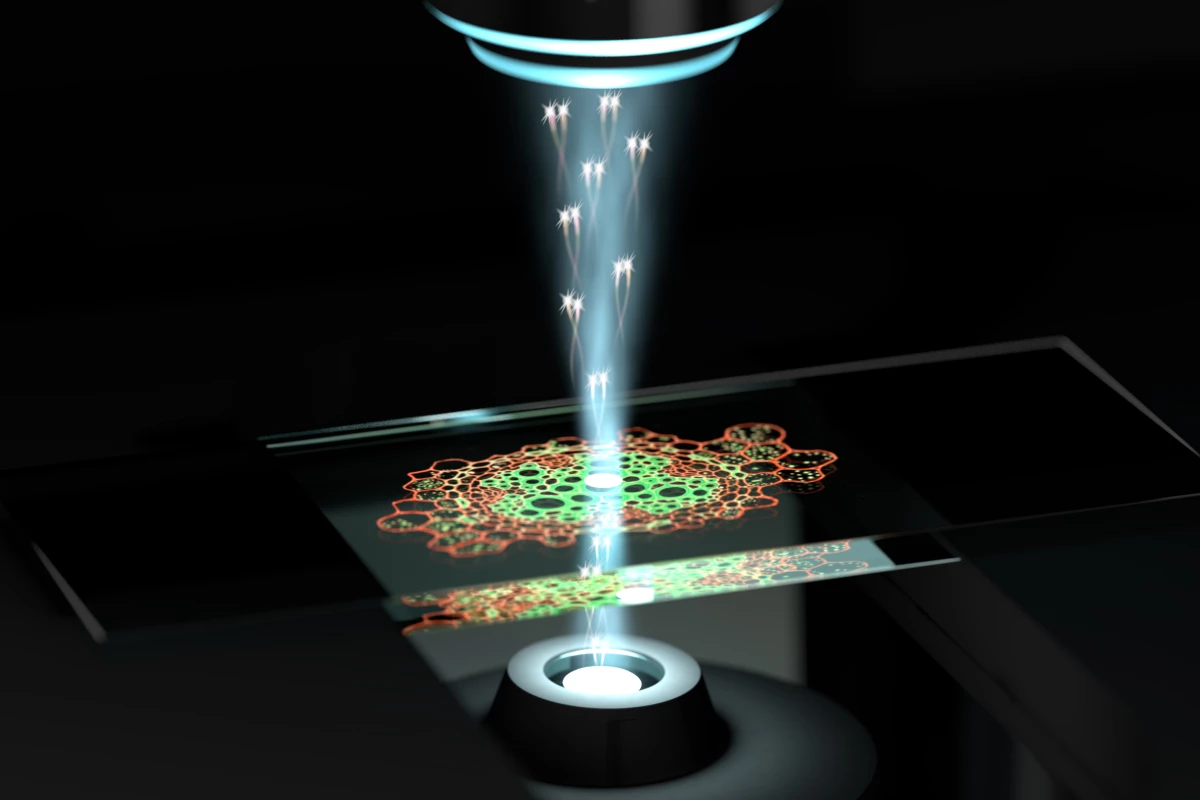 An artist's impression of the quantum microscope, which uses pairs of photons with quantum correlations to image samples at higher resolution with less intense light